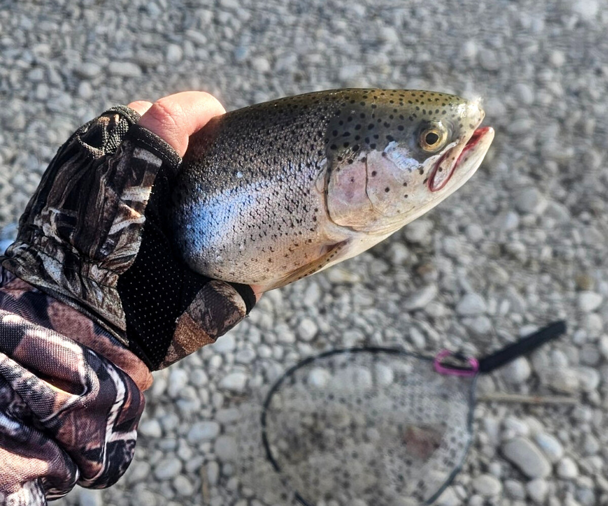 Bahman holding a freshly caught trout beside a landing net